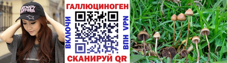 Псилоцибиновые грибы GOLDEN TEACHER  Чехов 