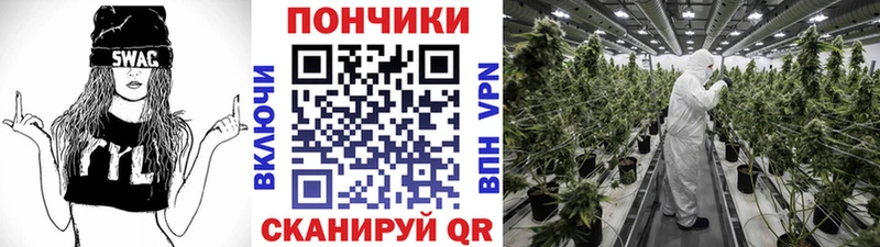 Каннабис OG Kush  где купить   мориарти какой сайт  Чехов 
